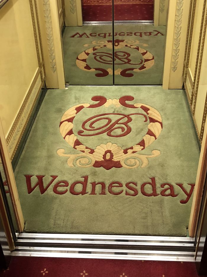 15电梯星期地毯