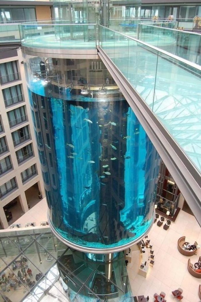 德国柏林水族馆的电梯